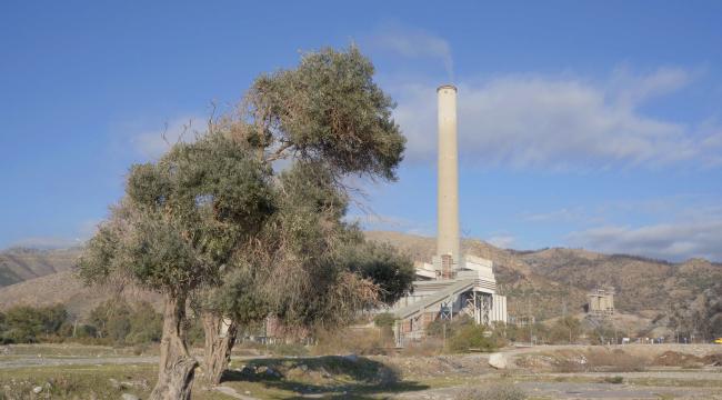 Milas’ın geleceği ‘‘AB tescilli’’ zeytinyağında, kömürde değil