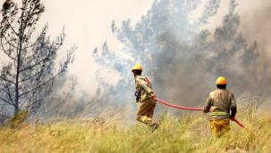 OGM Kamuoyu Duyurusu: Orman Yangınlarına Dikkat 