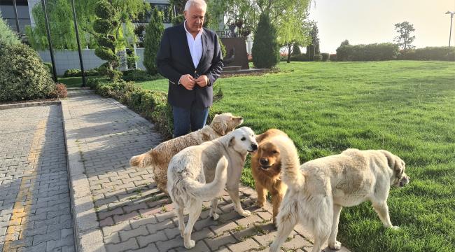 SOSYAL MEDYANIN YENİ FENOMENİ ‘ŞİLA’