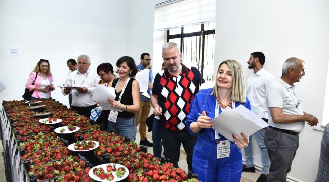 12. Emiralem Çilek Festivali&#039;ne Rekor Katılım