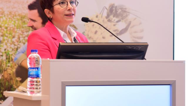 Dikkat! Her Şişlik ve Kızarıklık Alerji Olmayabilir