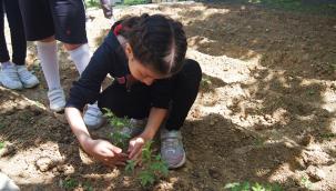 Bahçeşehir Tek Okullarında yenilenebilir enerji ve tarım farkındalığı