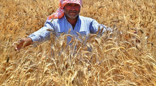 Başkan Soyer hükümetin açıkladığı alım fiyatını ikiye katladı