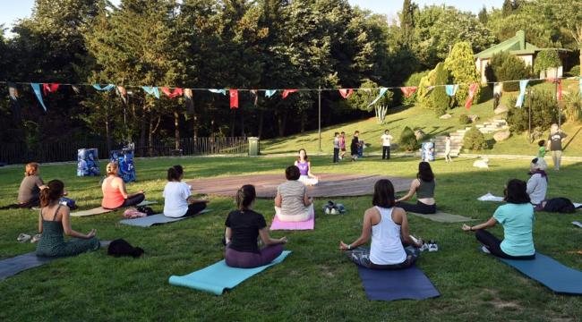 Hareket Et Beşiktaş!