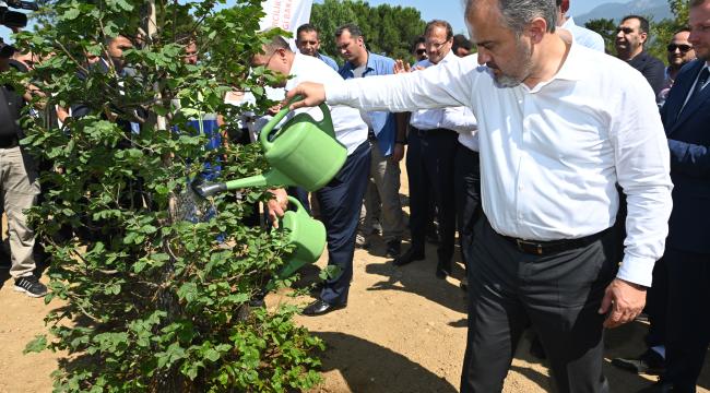 Çekirge Teras’ta ilk fidan toprakla buluştu