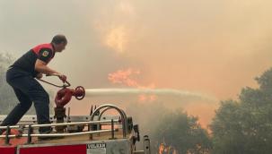 Datça'daki orman yangını kontrol altına alındı