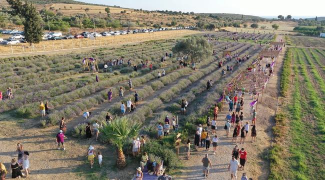 DİDİM LAVANTA FESTİVALİ İÇİN GÜN SAYIYOR