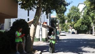 Kartal Belediyesi, Yeşil Dostu Çalışmalarına Ara Vermeden Devam Ediyor