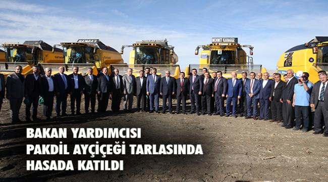 Bakan Yardımcısı Dr. Nihat Pakdil, ayçiçeği tarlasında biçerdövere binerek hasada katıldı