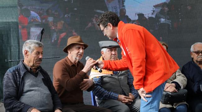 BOL VİTAMİNLİ MİS KOKULU FESTİVAL