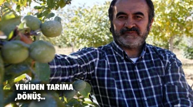 Deprem bölgelerinde ceviz başta olmak üzere  tarımsal altyapı büyük zarar gördü