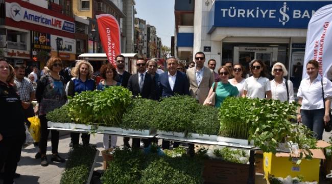 KARŞIYAKALI KADINLARA 60 BİN YERLİ FİDE