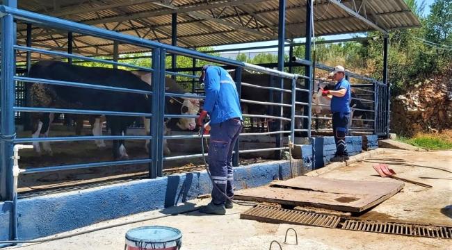 Büyükşehir Mezbahaları ile Kurban Bayramı’na Hazır