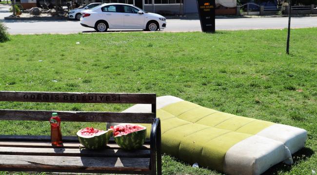 Parkta üzücü görüntüler: Şehir magandaları yine zarar verdi