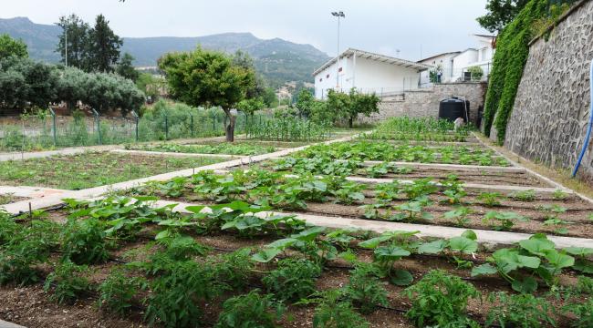 Tugay “Yerel tohumları koruyor ve toprakla buluşturuyoruz”