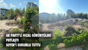 AK Partili Hızal, İzmir Büyükşehir Belediyesi'nin ağaçları kestiği görüntüleri paylaştı