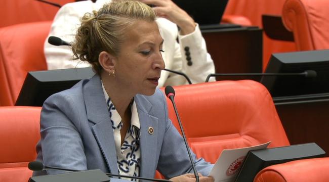 CHP Muğla Milletvekili Süreyya Öneş Derici, Bodrum&#039;un Su Sorununu Meclis Gündemine Taşıdı