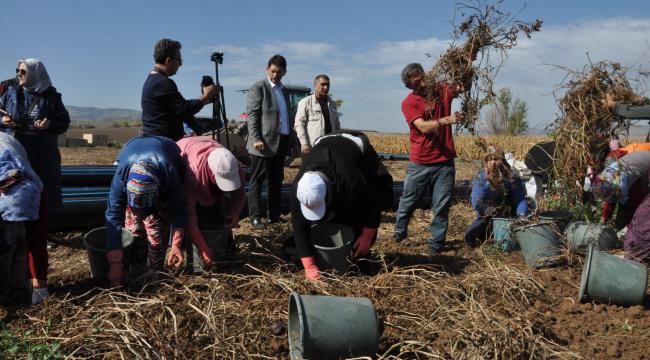 Başkan ORAL; Erzurum tarımına yeni ve katma değeri yüksek bir ürün kazandırıyoruz