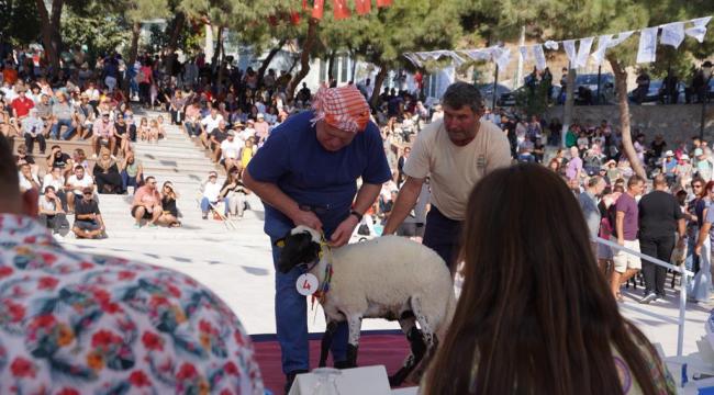 Ovacık Festivalle renklendi