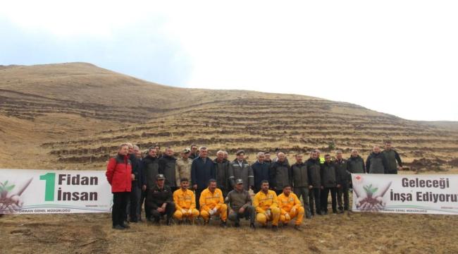 Palandöken&#039;de 4 bin fidan toprakla buluştu