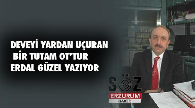 DEVEYİ YARDAN UÇURAN BİR TUTAM OT&#039;TUR