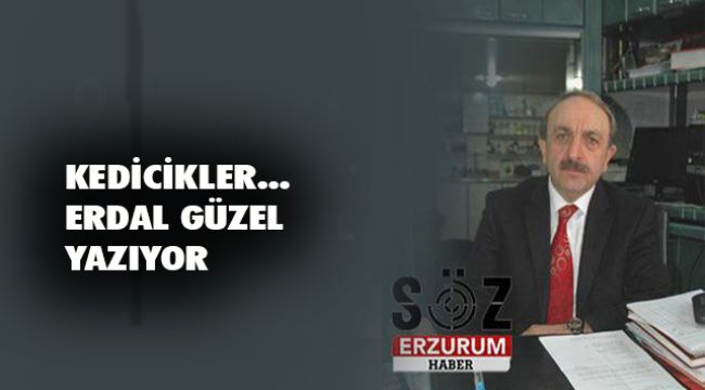 Araştırmacı Yazar Erdal Güzel Yazıyor