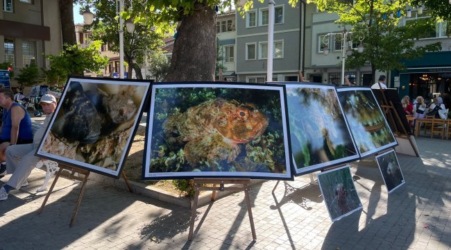 Hedef, daha temiz bir Marmara Denizi