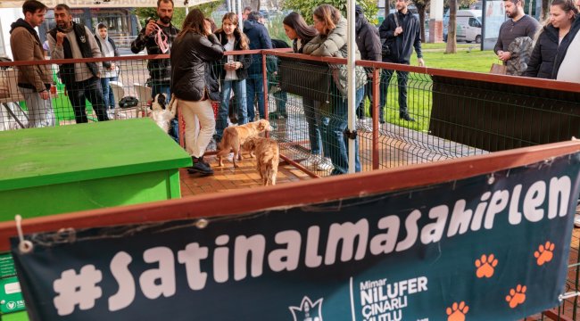 Konak&#039;tan patili dostları sahiplendirme etkinliği: Yeni yıla sıcak yuvalarında girecekler