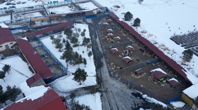 Büyükşehir Hayvan Barınağı&#039;nın kapasitesini artıracak