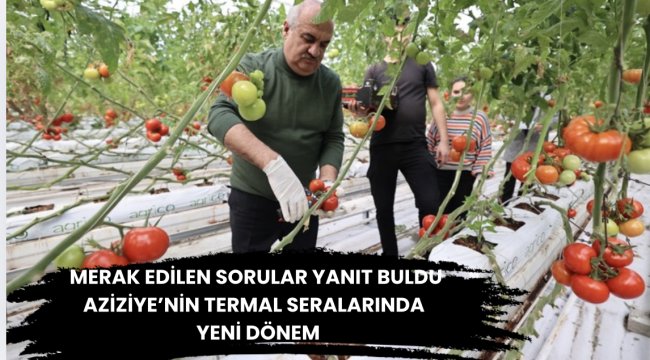 Aziziye&#039;nin termal seralarında yeni dönem 