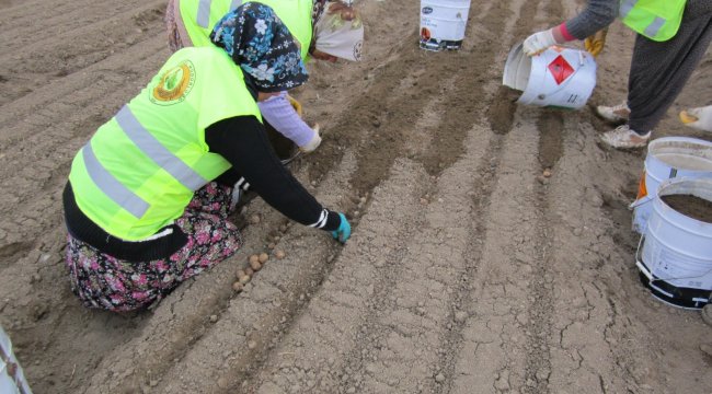 Türkiye’de ormanlar için çalışan 18 bin kadın var