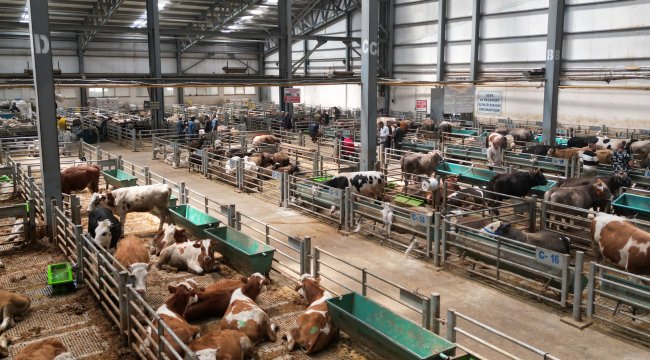 Doğu Anadolu Canlı Hayvan Borsası &quot;Avrupa&#039;nın en büyük tesisi&quot; unvanına sahip
