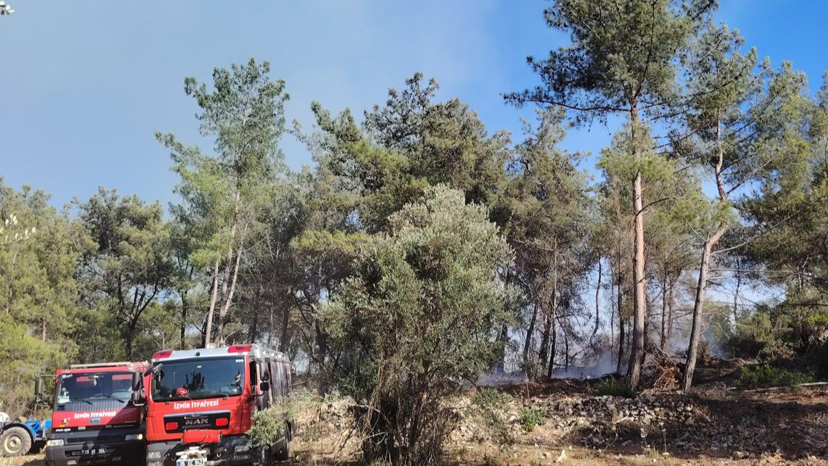 Urla Camiatik Mahallesi ormanlık alanda çıkan yangına müdahale sürüyor