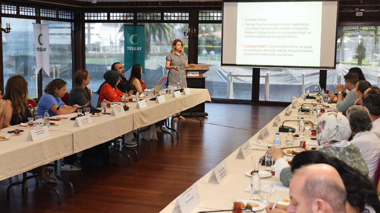 İlaçların Kötüye Kullanımı Durum Değerlendirme Çalıştayı