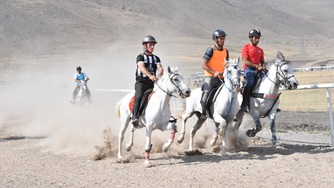 Erzurum’da Geleneksel Rahvan At Yarışları İçin Geri Sayım Başladı