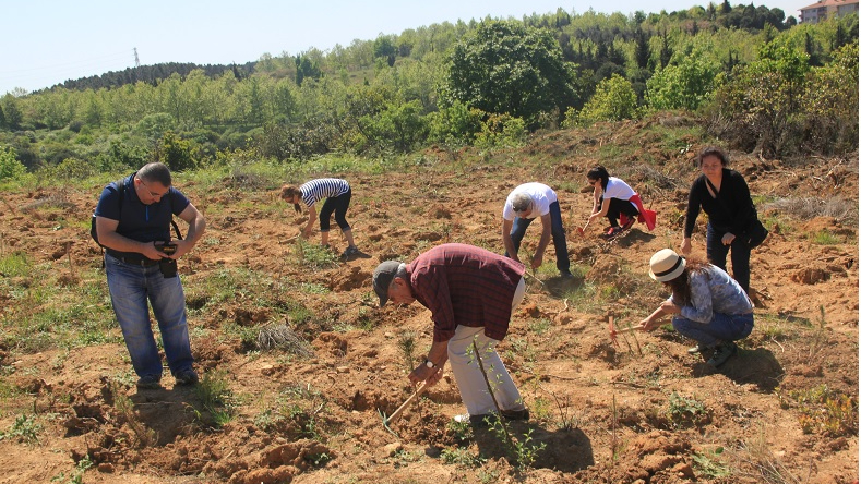 “Yanan alanlarda fidan dikiminde acele edilmemeli”