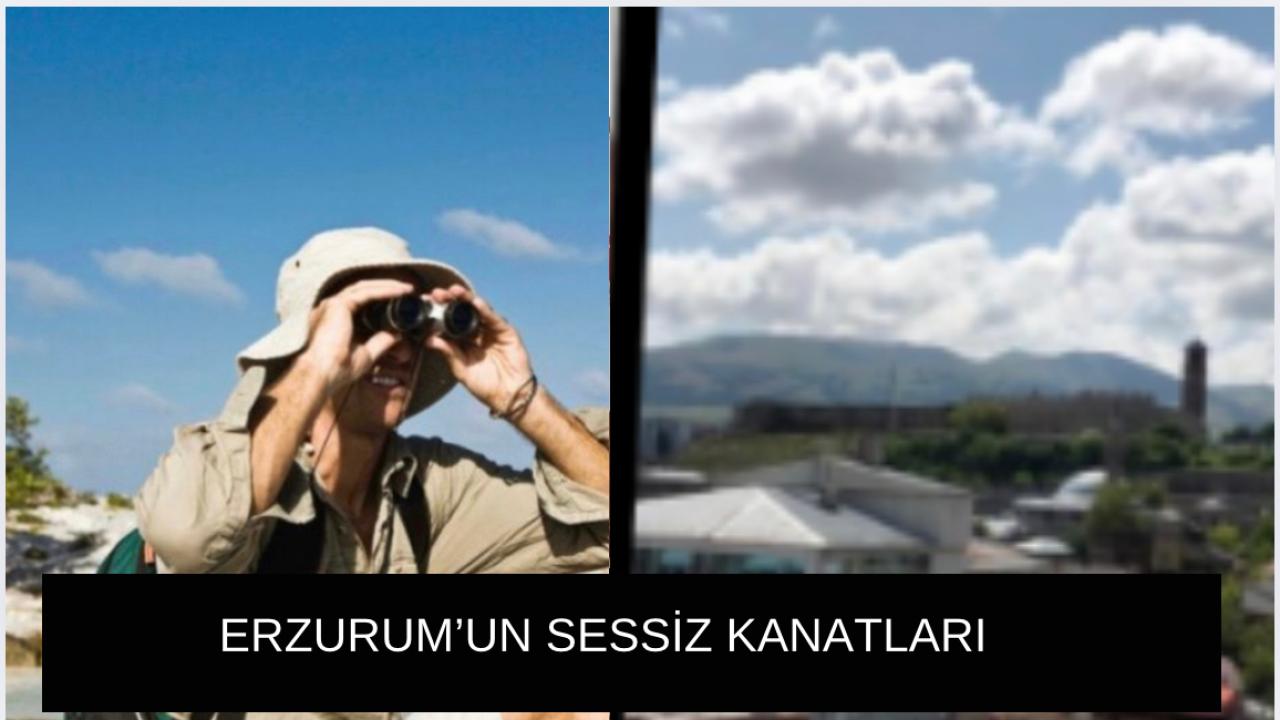 Avrupa Kuş Gözlem Günü’nde 29 ülke milyonlarca kuşun göçüne tanıklık etti… Ancak Erzurum yine listede yoktu