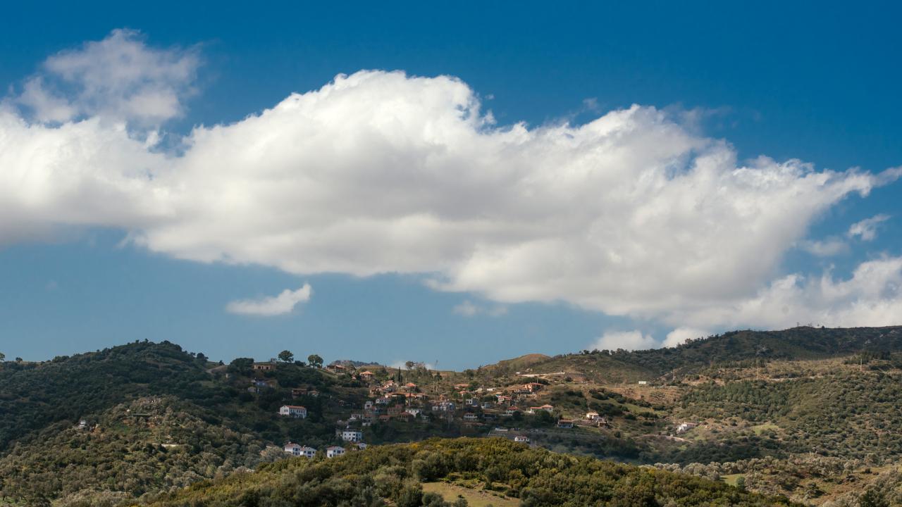 Seferihisar Orhanlı Köyü’nde Zeytin Hasadı Festivali Düzenleniyor