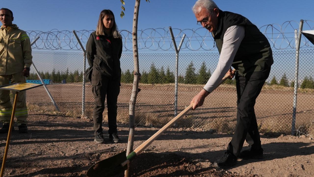 OGM: 30 milyon fidan sahiplenildi