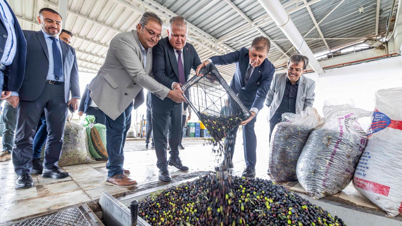 Zeytinin Bin Yıllık Yolculuğu Sanatla Buluşuyor