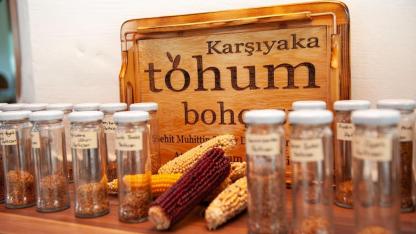 1 yılda 200 bini aşkın tohum paketi dağıtıldı