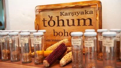 1 yılda 200 bini aşkın tohum paketi dağıtıldı