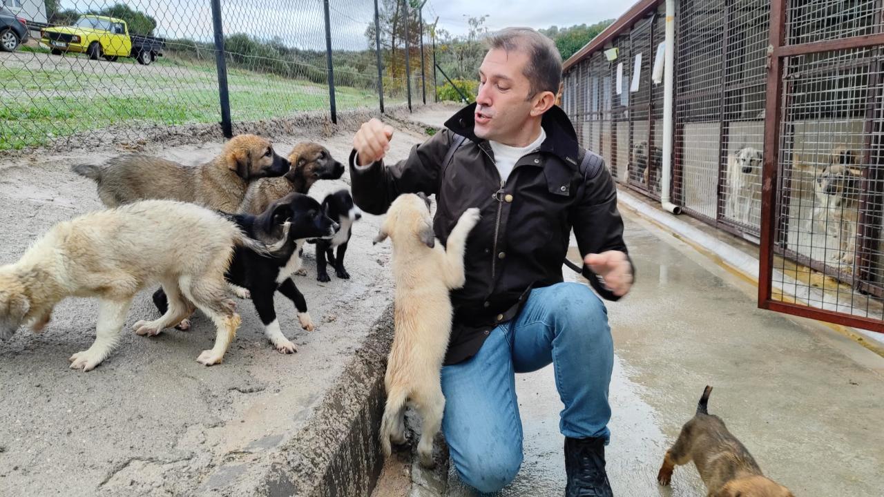 Diş Hekimi Emre İpor&#039;dan Urla Sokak Hayvanlarına Destek