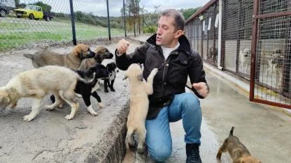 Diş Hekimi Emre İpor'dan Urla Sokak Hayvanlarına Destek