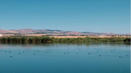 TEMA Vakfı 2025’in Çevre Olaylarını Değerlendirdi