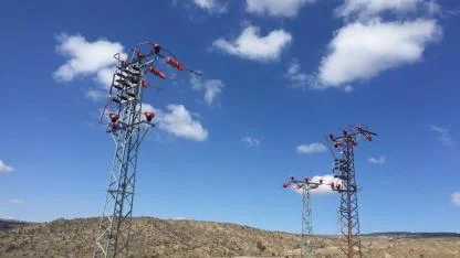 Kuşların Göç Yolculuğunda “Elektrik Çarpması Tehdidinin Önlenmesi” için Uluslararası Çalışma Başlatıldı