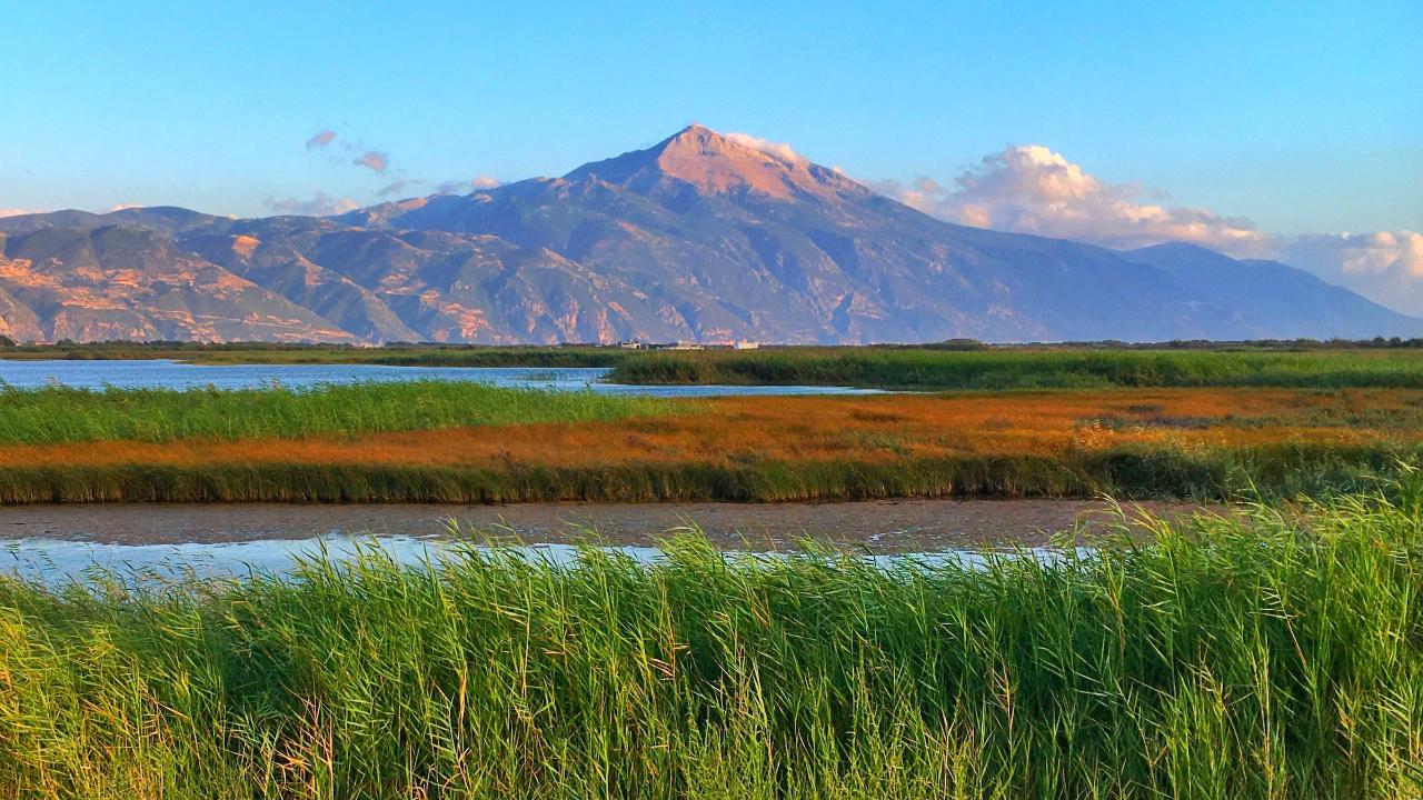 Milleyha Doğa Gözlem Merkezi, 13 Şubat’ta Üç Gün Sürecek "Doğa Buluşması" ile Kapılarını Açıyor