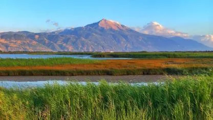 Milleyha Doğa Gözlem Merkezi, 13 Şubat’ta Üç Gün Sürecek "Doğa Buluşması" ile Kapılarını Açıyor