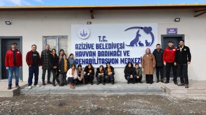 Aziziye Belediyesi ile Sokaktaki Canlara Sıcak Yuva