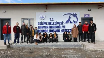 Aziziye Belediyesi ile Sokaktaki Canlara Sıcak Yuva
